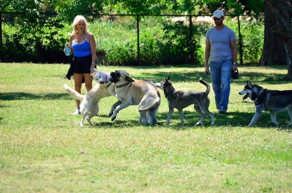 Built-In Social Connections and New Friendships (Image Credits: Flickr)