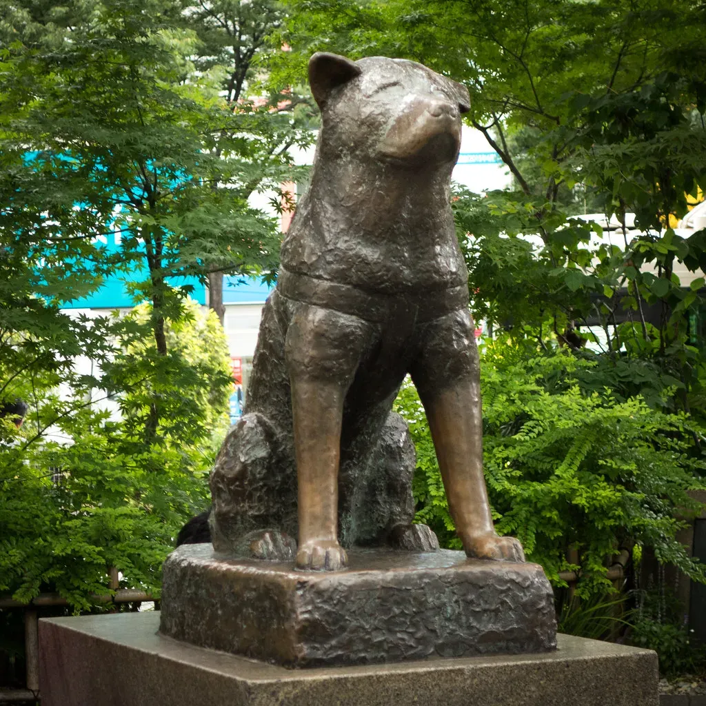 2. Akita: The Dog Who Waited Nearly a Decade (jdnx, Flickr, CC BY 2.0)
