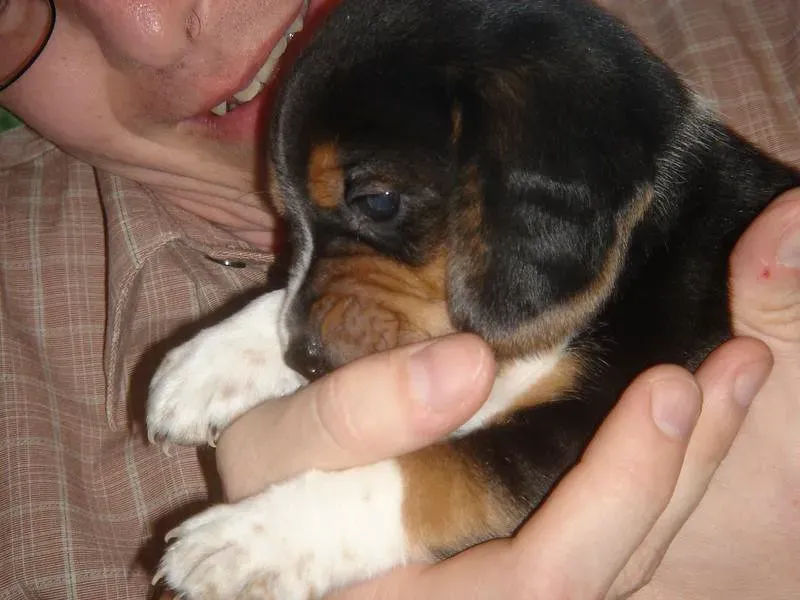 It Starts Long Before They Ever Meet You (AirBeagle, Flickr, CC BY 2.0)