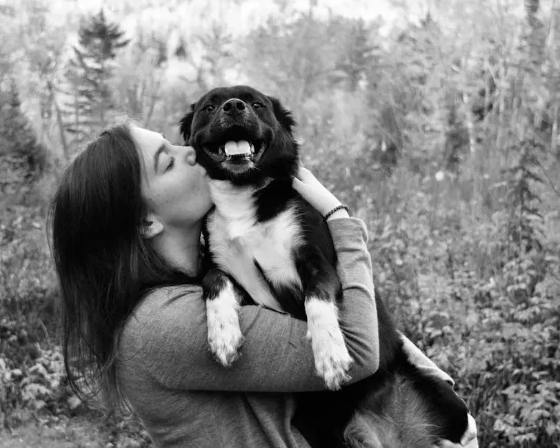 Release the Guilt You're Carrying (Image Credits: Pexels)