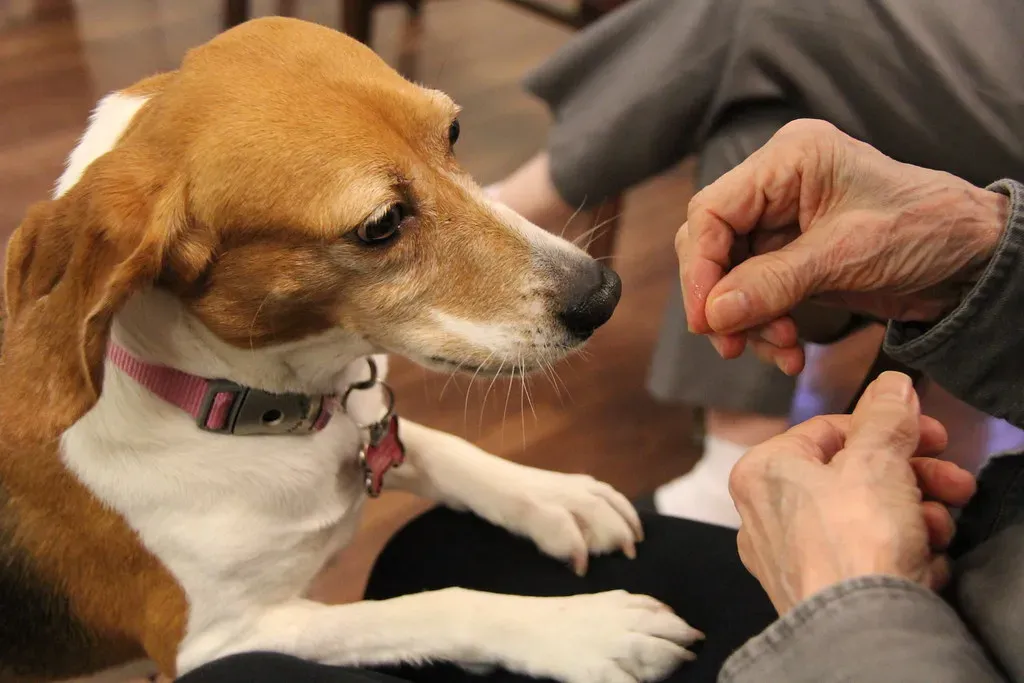 11. Mindfulness Without Trying (Gamma Man, Flickr, CC BY 2.0)