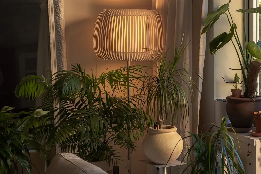 Safe Alternative 3: Parlor Palm &ndash; Elegant and Non-Toxic (Image Credits: Unsplash)