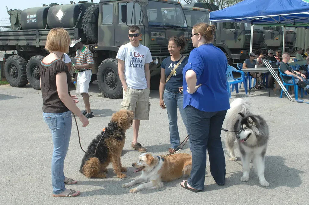 They All Have Serious Health Problems (Image Credits: Flickr)