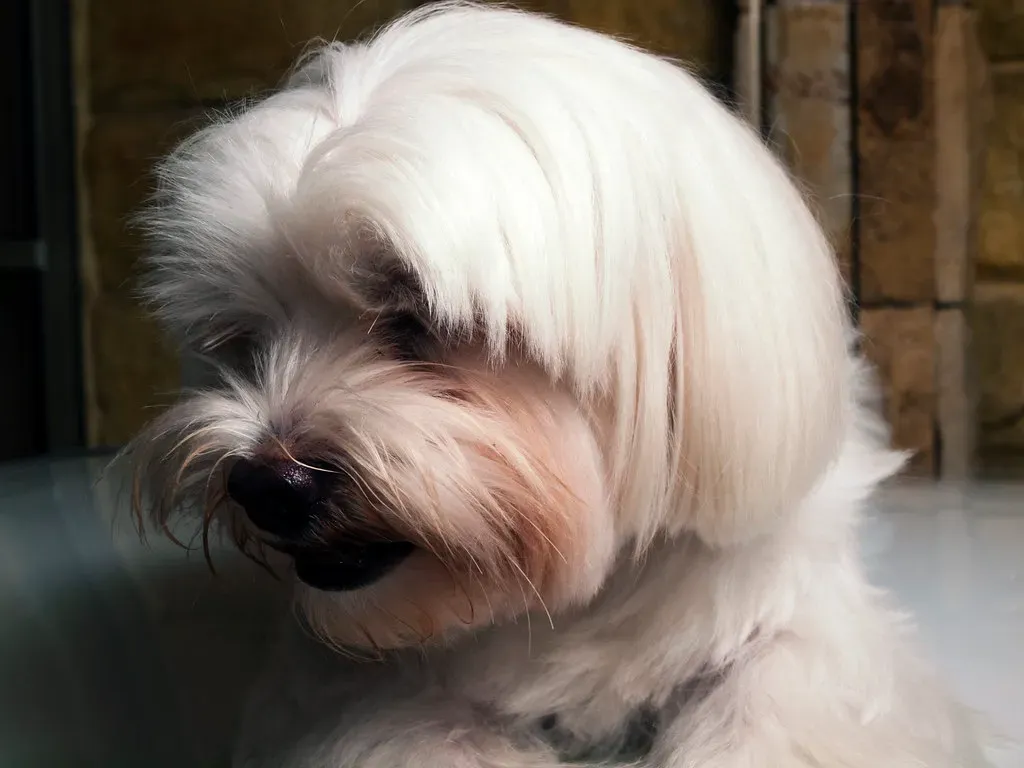 Conclusion (Image Credits: Flickr)