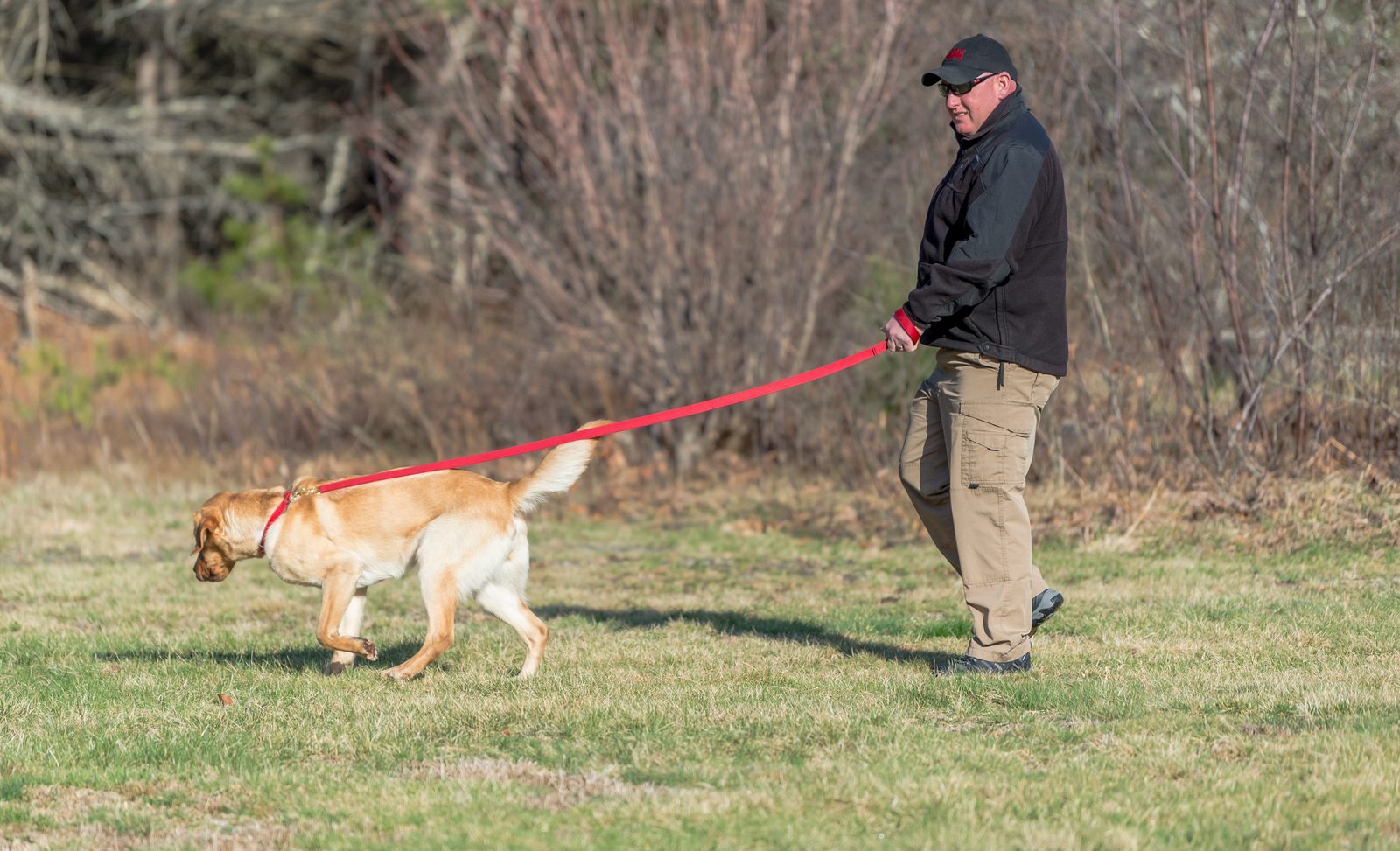 Conclusion (Image Credits: Wikimedia)