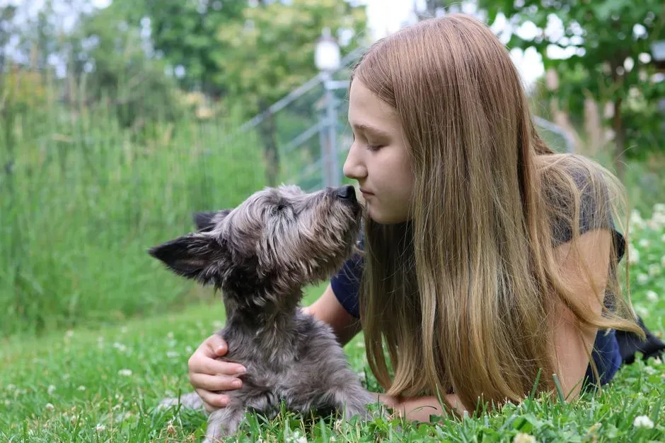 The Science Behind a Dog’s Emotional Memory (Image Credits: Pexels)