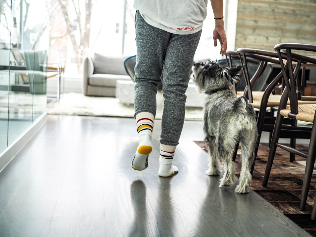 The Science Behind Dogs and Routine (Image Credits: Unsplash)