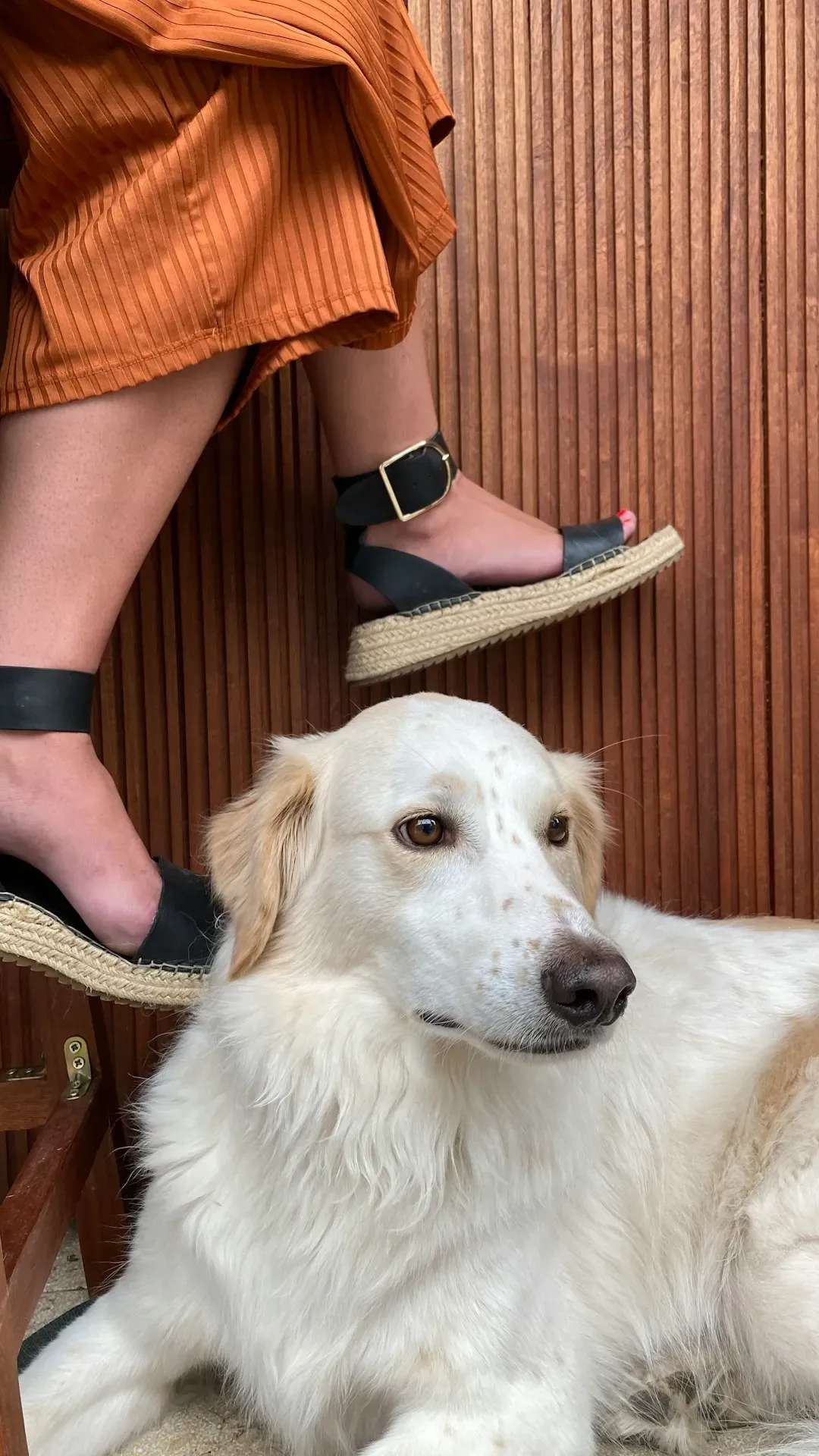 Debunking the Dominance Myth (Image Credits: Unsplash)