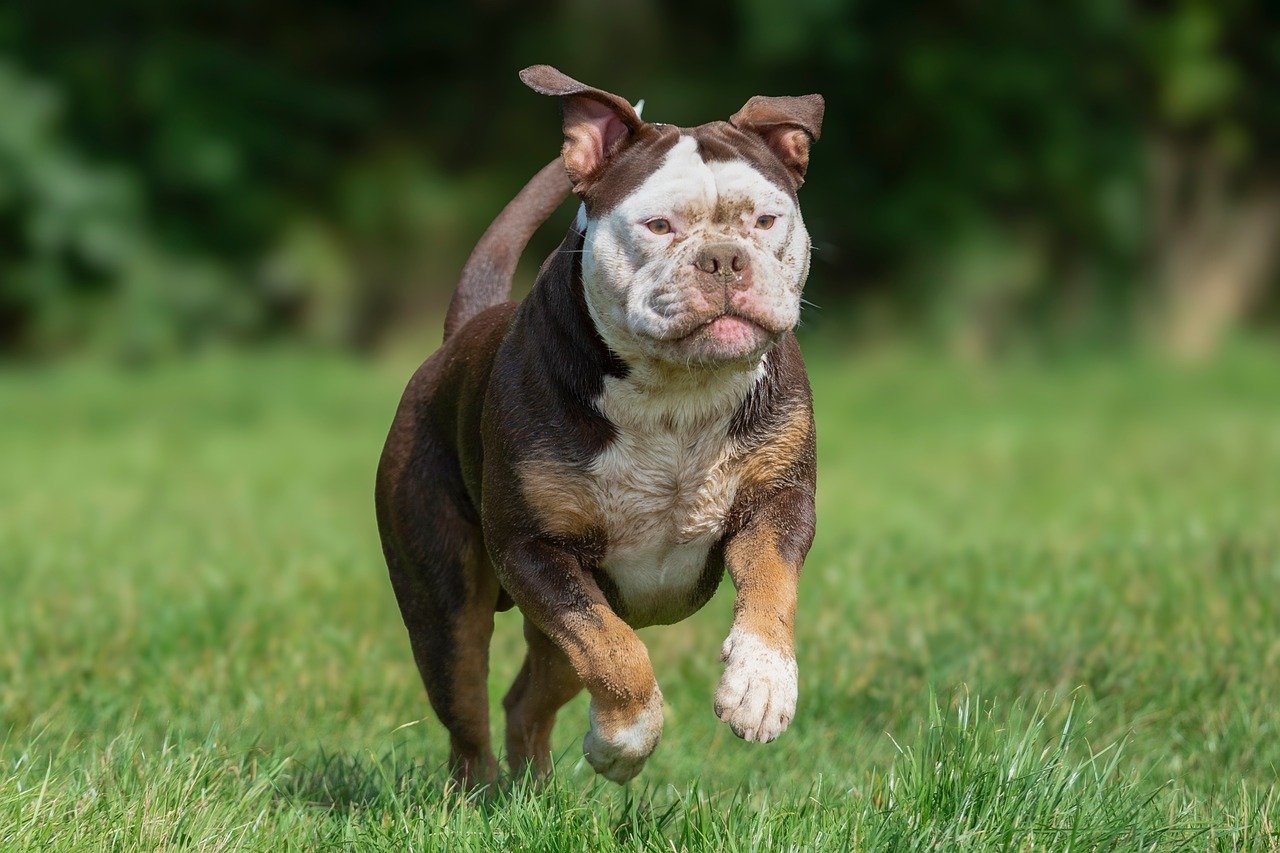 Anxiety and Stress Can Trigger Jumping (Image Credits: Pixabay)