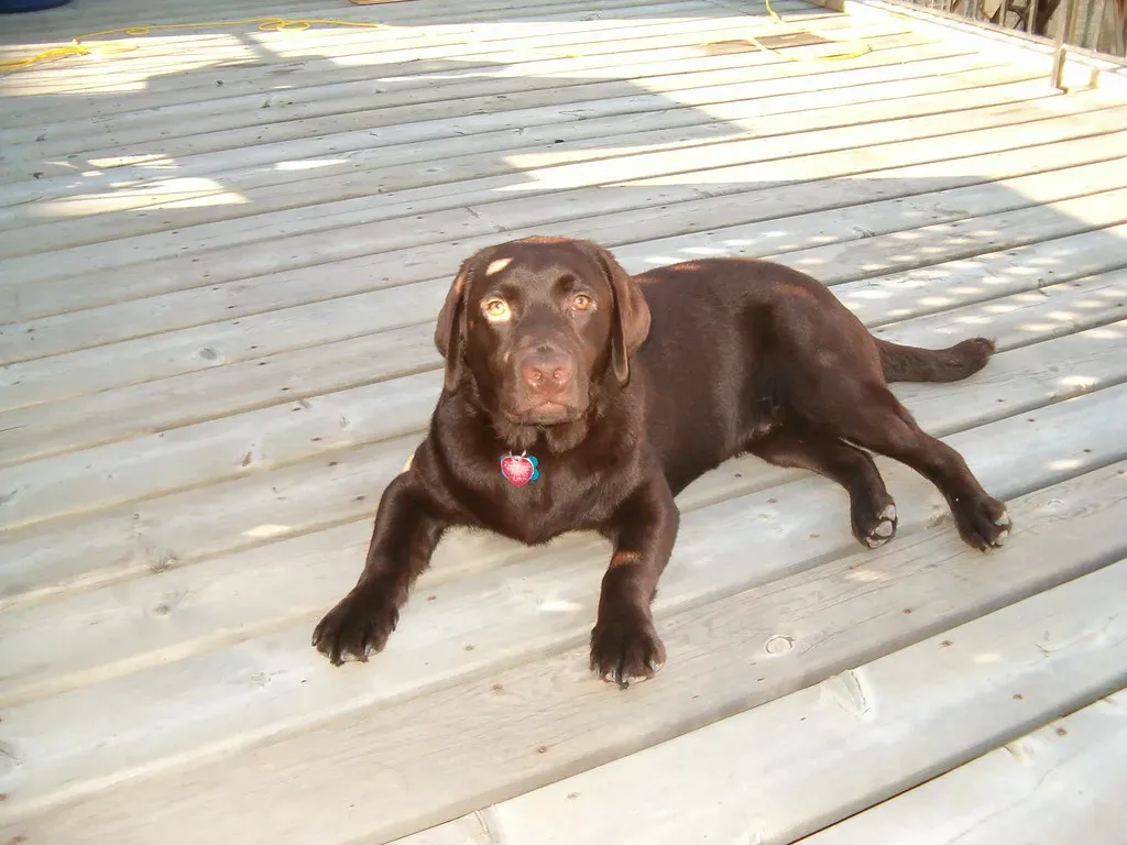 Teaching Healthy Independence (Image Credits: Flickr)