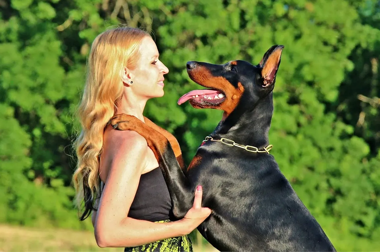 Doberman Pinscher (Image Credits: Pixabay)