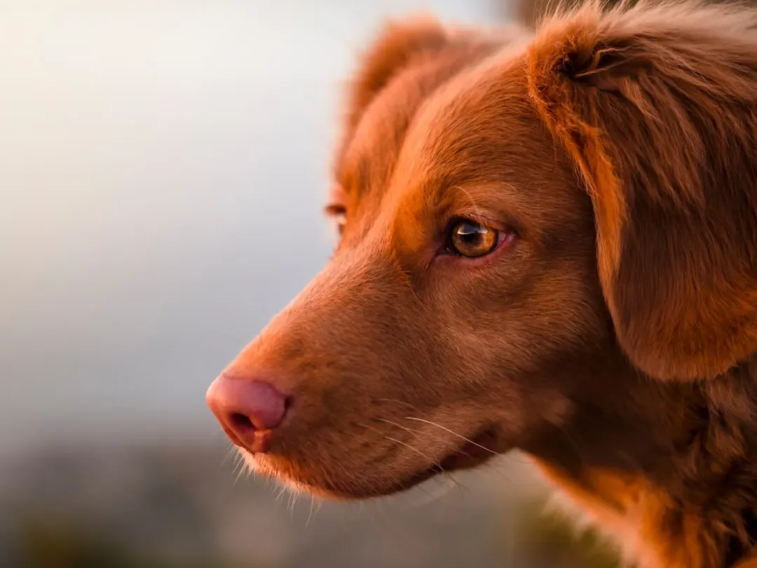 6. Avoiding Or Side‑Eyeing Specific People (Image Credits: Unsplash)