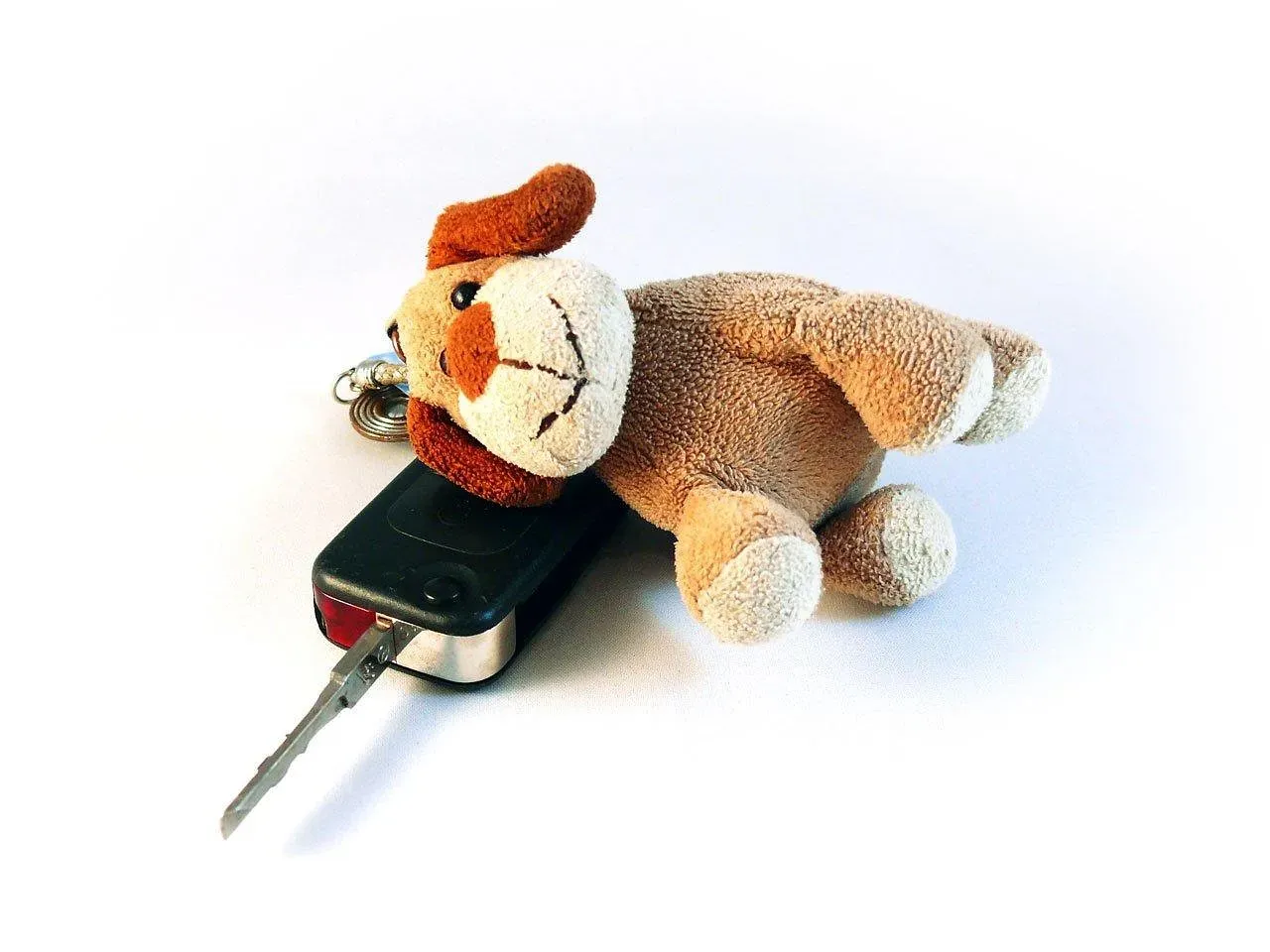 #13 - The Jingle Of Your Keys (Image Credits: Pixabay)