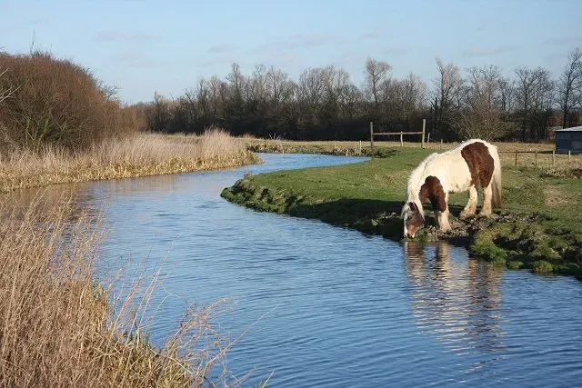 Clean Water Access Is Non-Negotiable (Image Credits: Wikimedia)