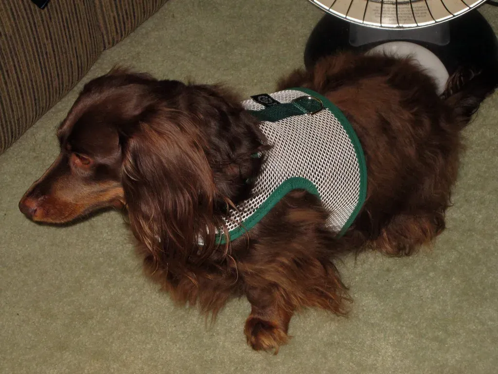 Mistake #1: Buying Without Measuring First (Tobyotter, Flickr, CC BY 2.0)