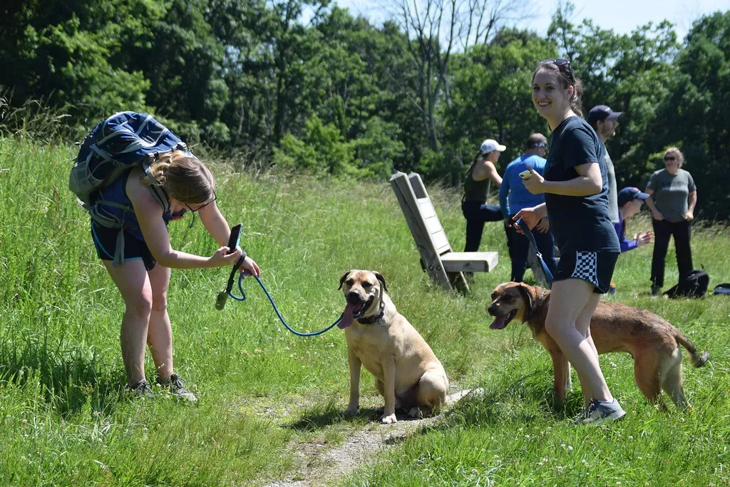 The Leash Situation Nobody Talks About (Image Credits: Flickr)