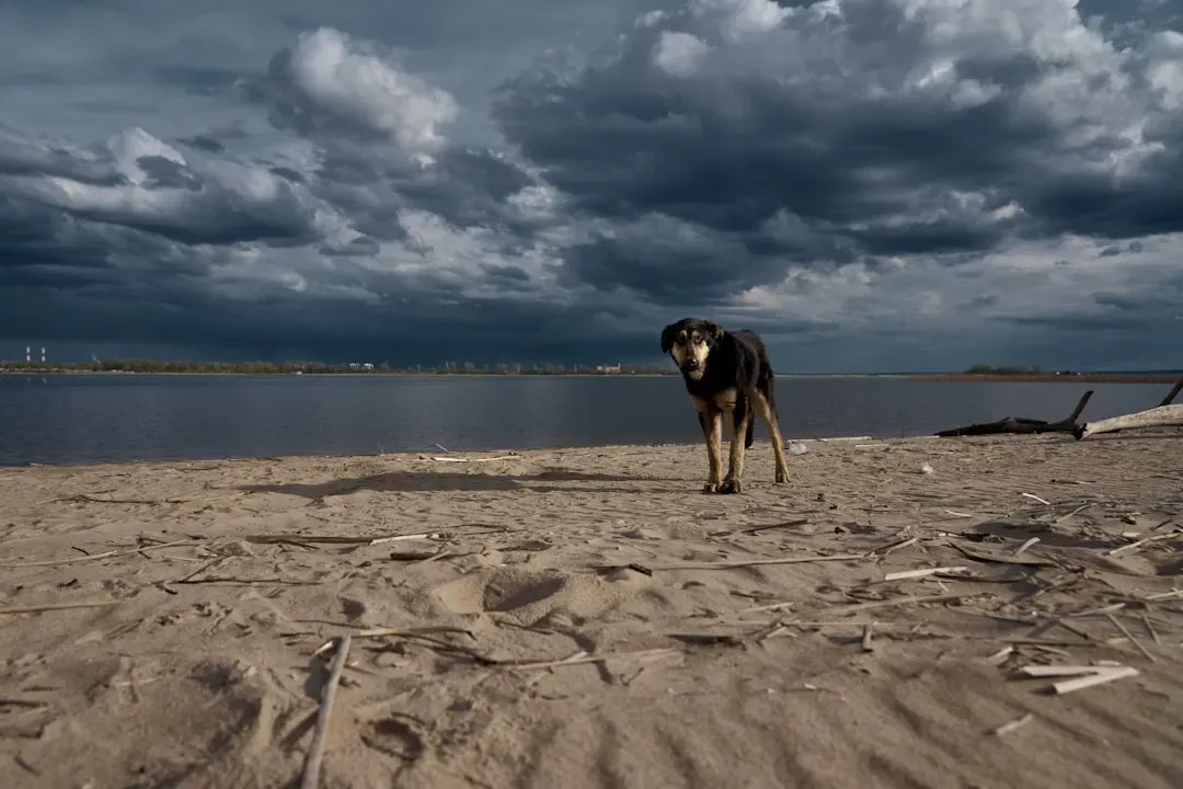 1. Thunderstorms: More Than Just Noise (Image Credits: Unsplash)