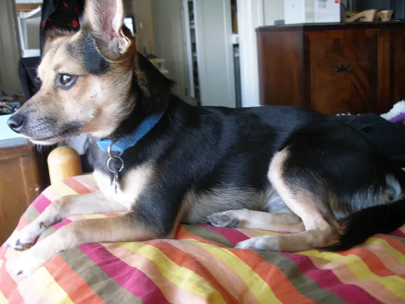 Conclusion (Image Credits: Flickr)