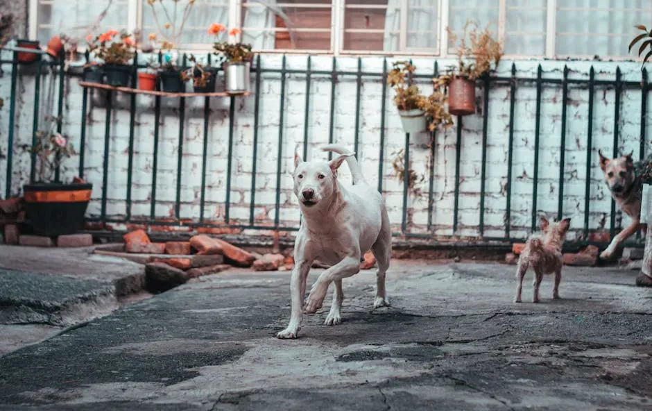 #10 Trying to Escape the Yard or Bolt Out the Door (Image Credits: Pexels)