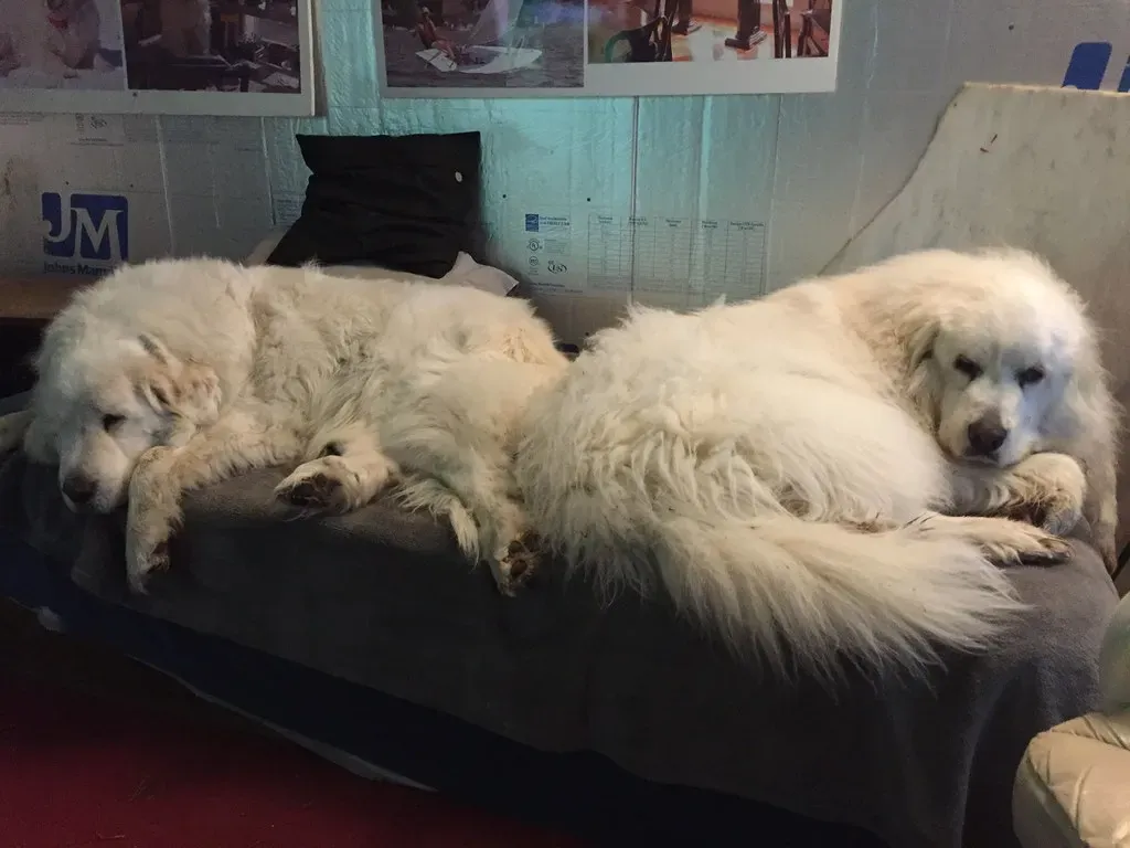 What Independence Really Means (Image Credits: Flickr)