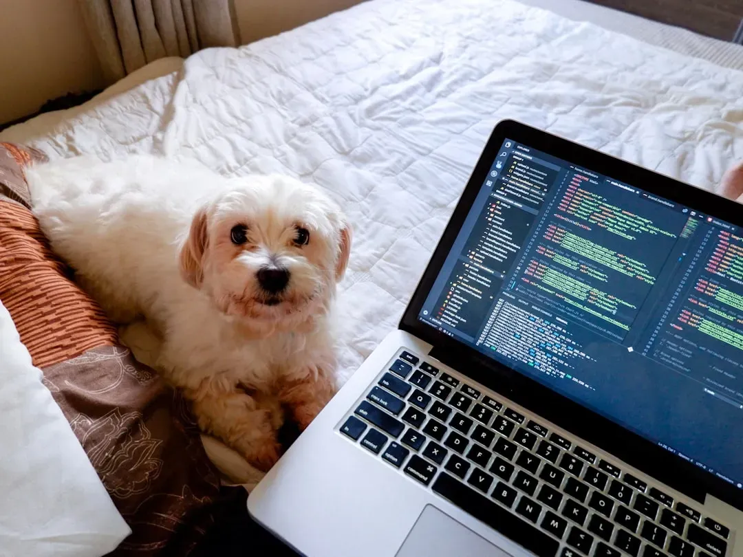 1. Start With a Realistic “Total Cost of Dog” Calculation (Image Credits: Unsplash)