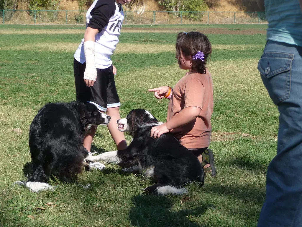 Yes, Your Dog Really Does Get Jealous (Image Credits: Flickr)