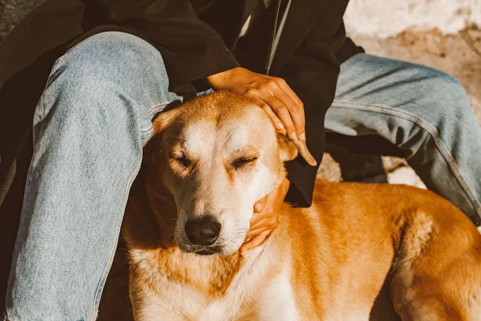 #11. Your Specific Touch (Image Credits: Pexels)