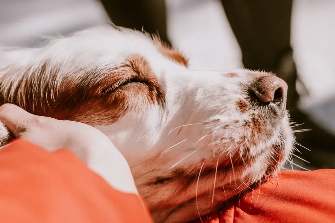 #7. A Gentle Massage Session With Your Own Hands (Image Credits: Unsplash)