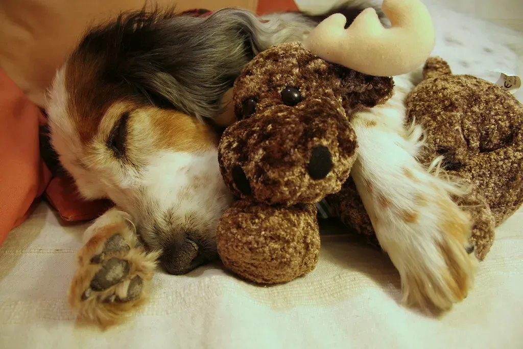 Wrapping Up the Colorful Mystery (epicture's, Flickr, CC BY 2.0)