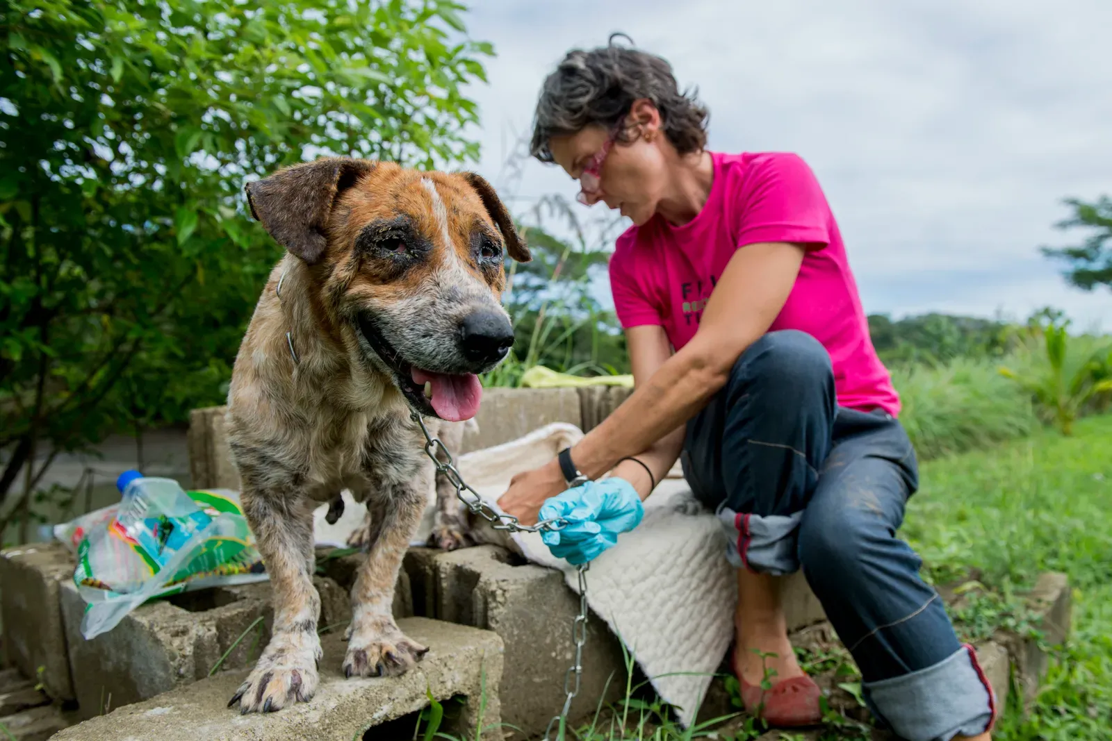 Choosing the Right Preventive Products (Image Credits: Wikimedia)