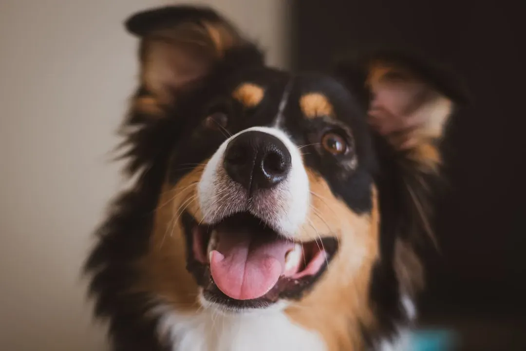 #5 - Breath That Changes Without Dental Drama (Image Credits: Unsplash)