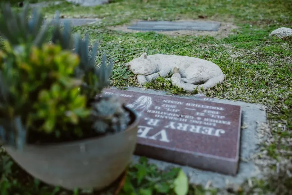 Grief After a Dog’s Death Mirrors Human Bereavement More Than You Think (Image Credits: Pexels)
