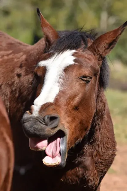 #9. They Seek You Out With a Nicker or a Whinny (Image Credits: Pexels)