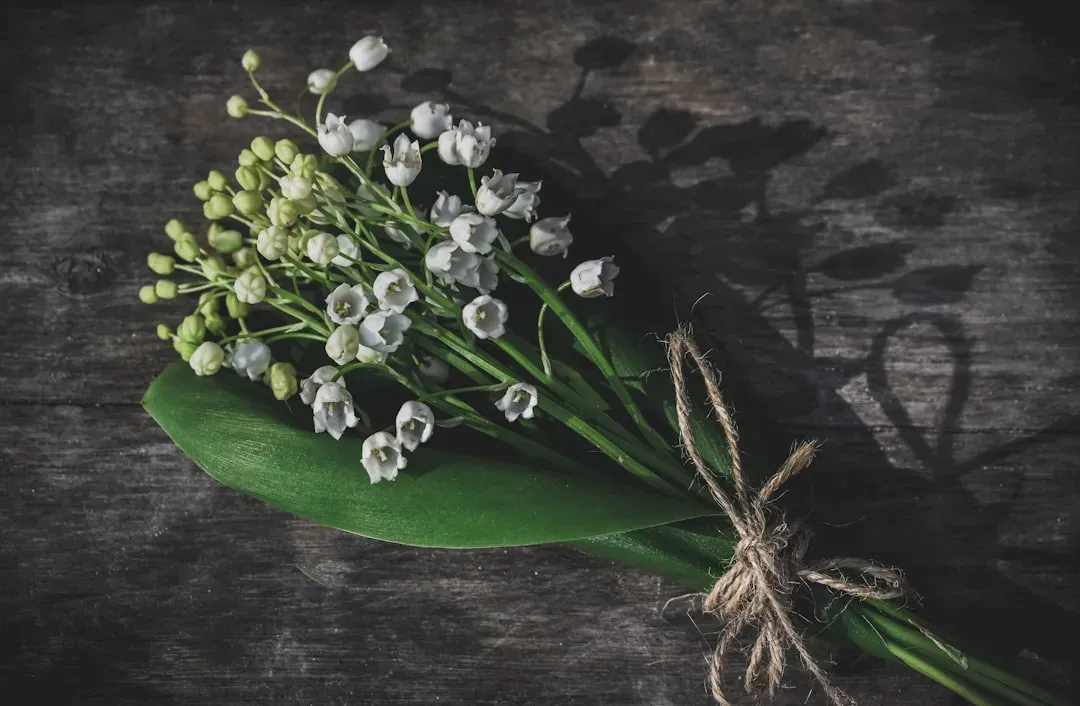 Lily of the Valley: Fragrant but Frightening (Image Credits: Unsplash)