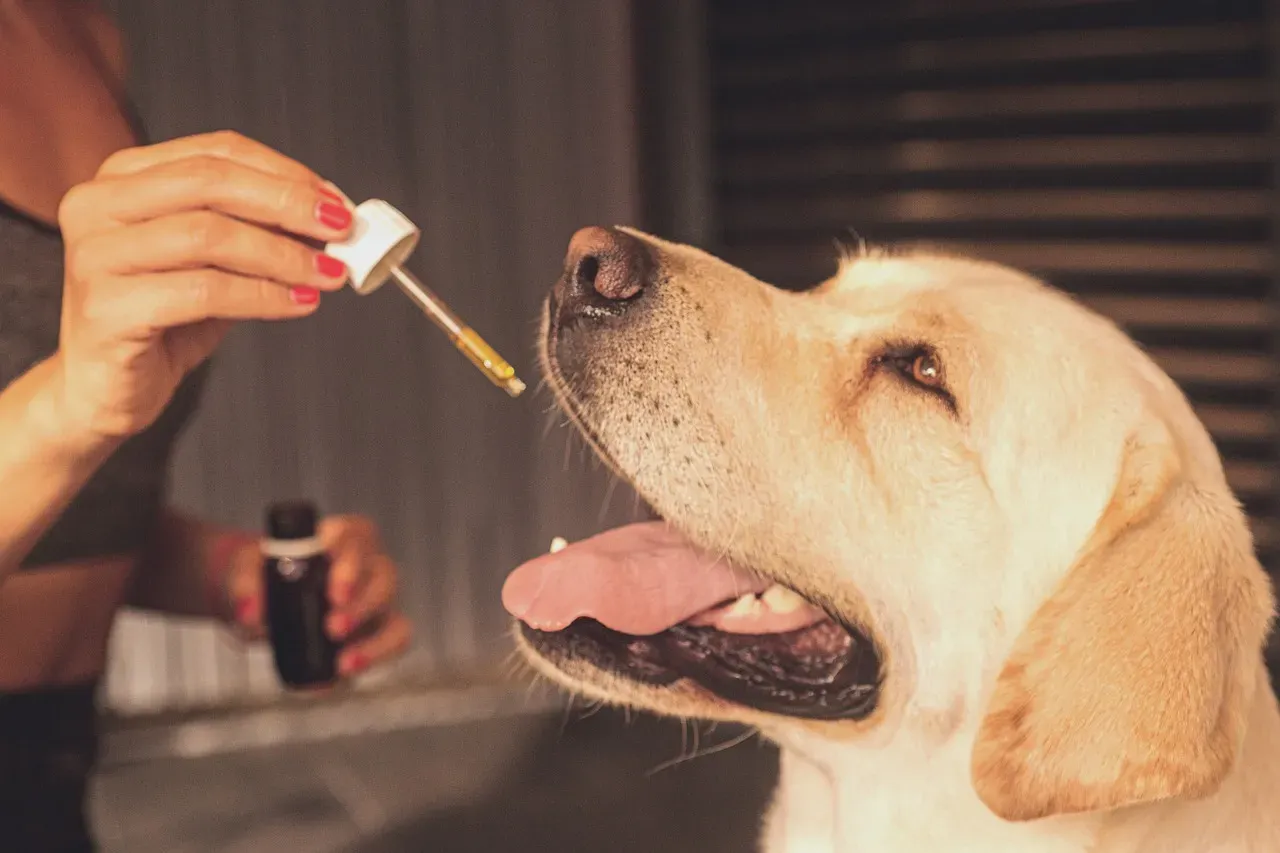 #10 - The Hidden Cost of "Trying Every Supplement" (Image Credits: Pixabay)