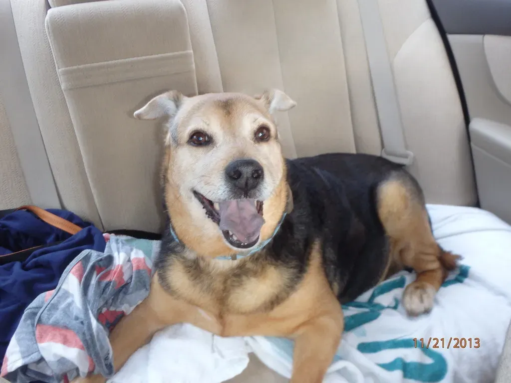 Conclusion (Image Credits: Flickr)