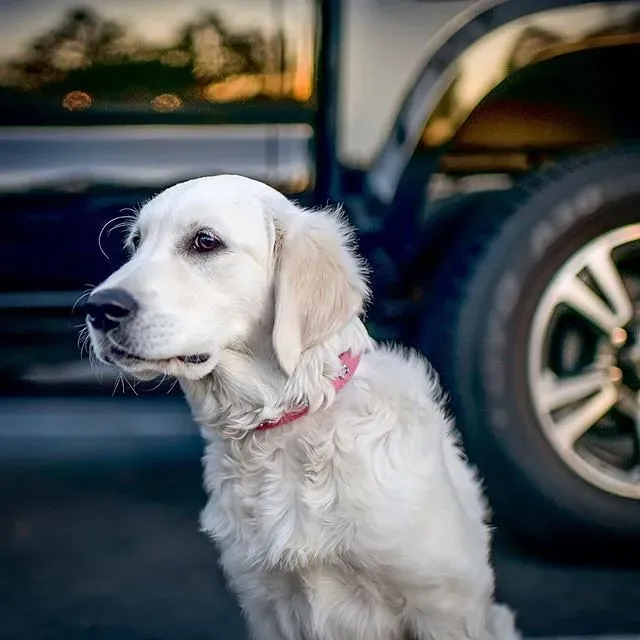 Conclusion (Image Credits: Flickr)