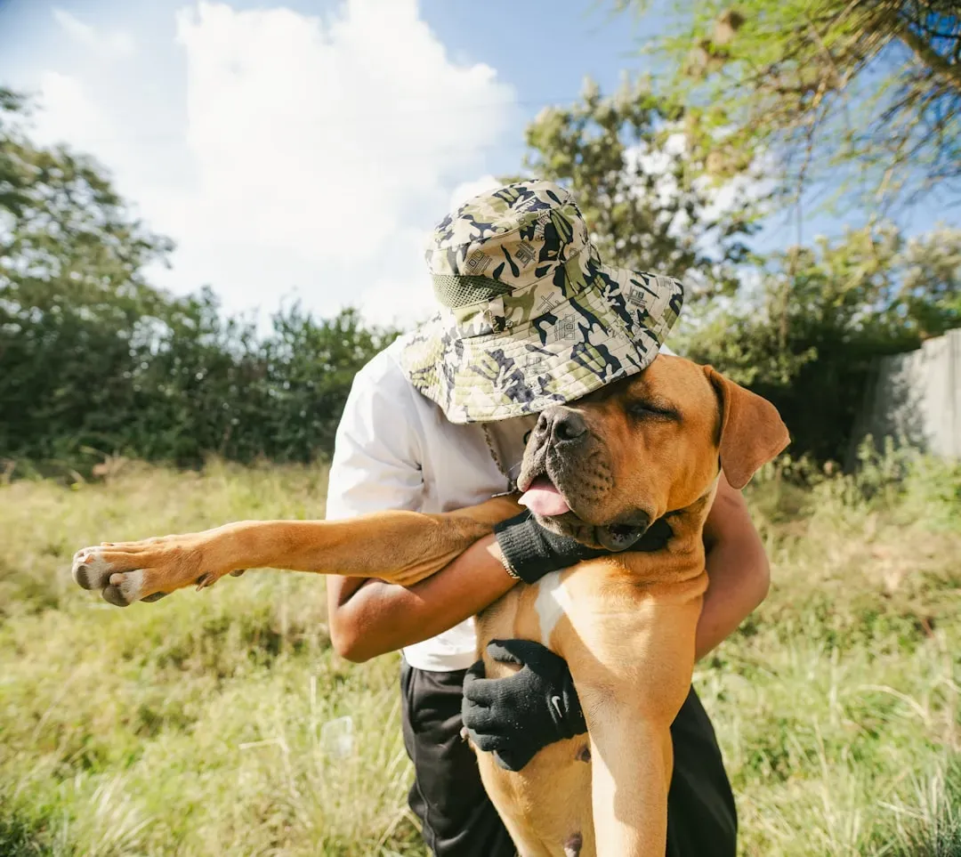 8. You Radiate Positive Energy That Dogs Can Feel (Image Credits: Unsplash)