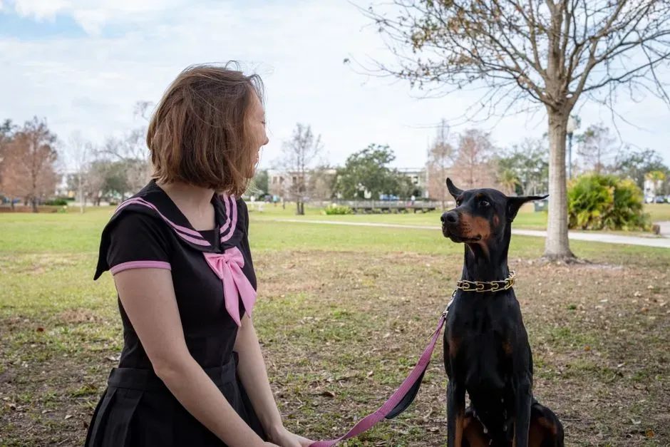 8. Doberman Pinscher (Image Credits: Pexels)