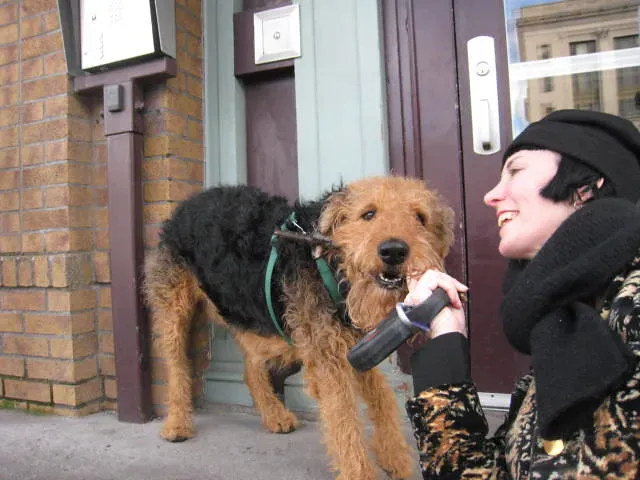 Leo: The Proud Pet Parent Who Loves Showing Off Their Dog on Vacation (Lulu Höller, Flickr, CC BY 2.0)