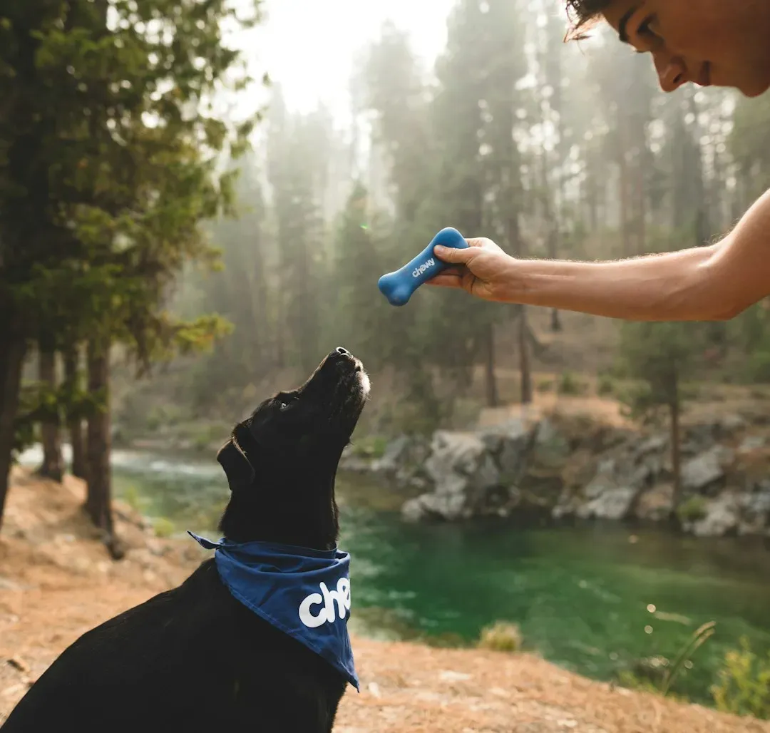 #10 - Who Spoke Calmly and Who Didn't (Image Credits: Unsplash)