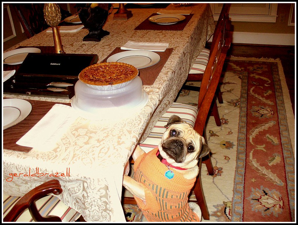 Food Motivation Reaches Olympic Levels (Image Credits: Flickr)