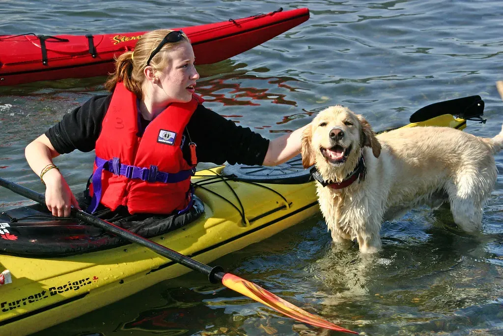 A Note on Water Safety for All Breeds (miguelb, Flickr, CC BY 2.0)