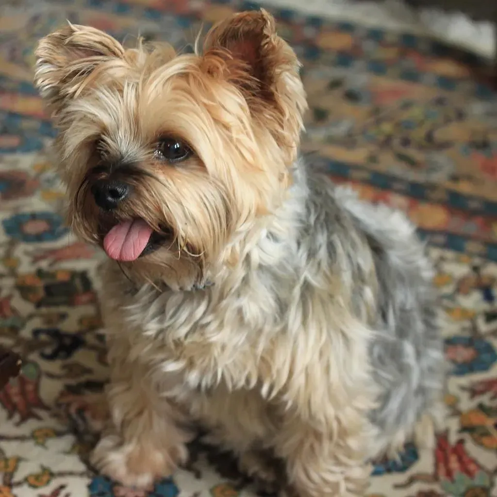 Conclusion (Image Credits: Flickr)