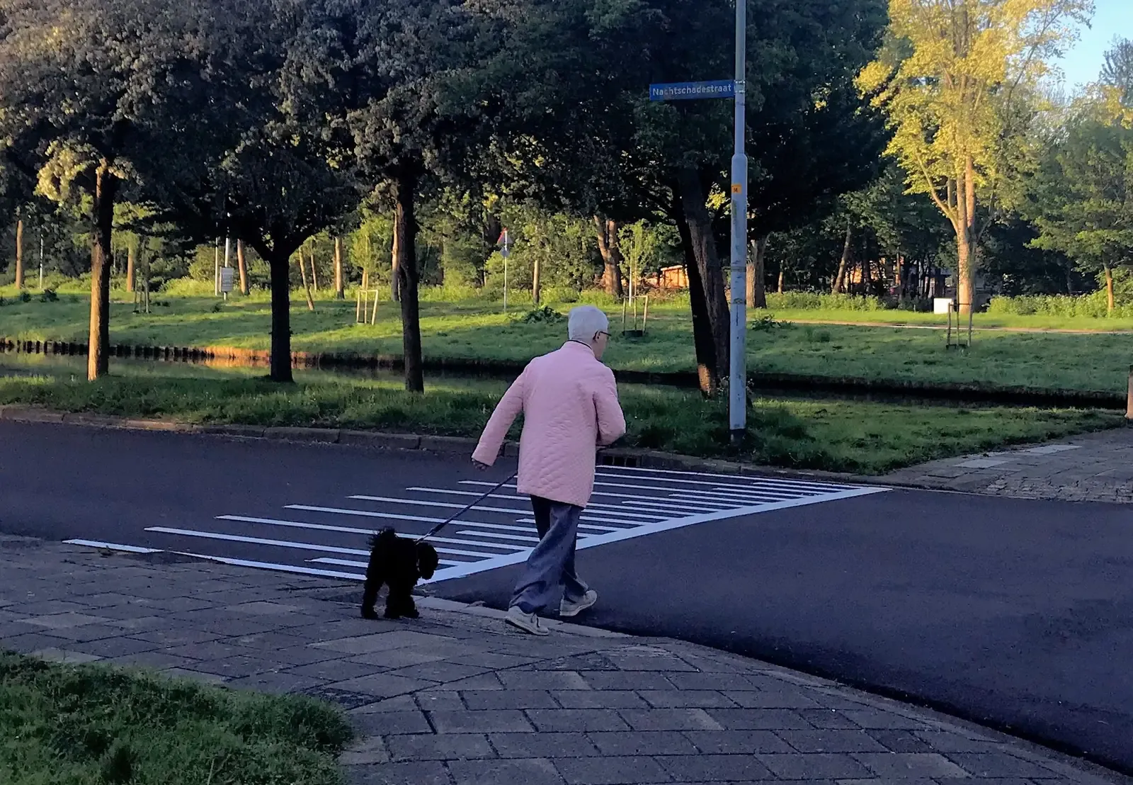 #12 – The Way They Start Copying Your Pace and Movements (By Amin, CC BY-SA 4.0)