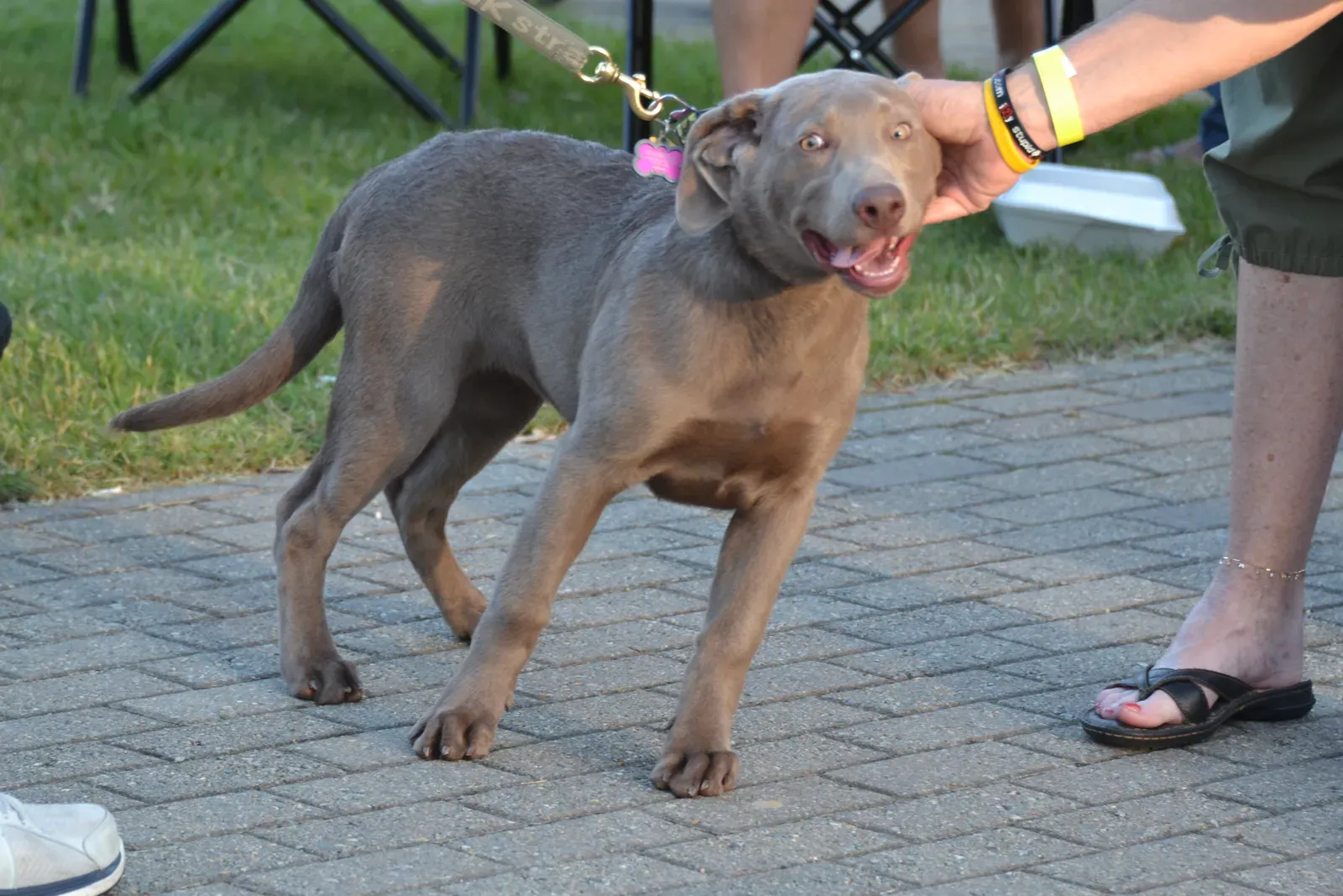 How Your Actions (Accidentally) Make It Worse (Image Credits: Wikimedia)