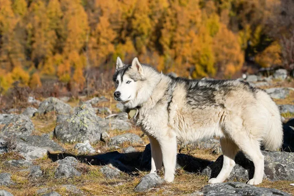 Nutrition, Health, and Long-Term Wellness (Image Credits: Pexels)