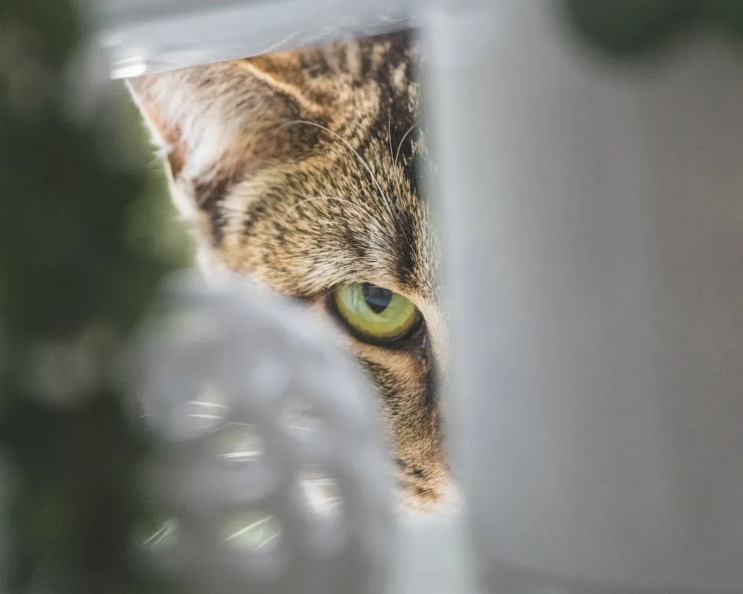 9. They Supervise You in Private Spaces (Image Credits: Unsplash)