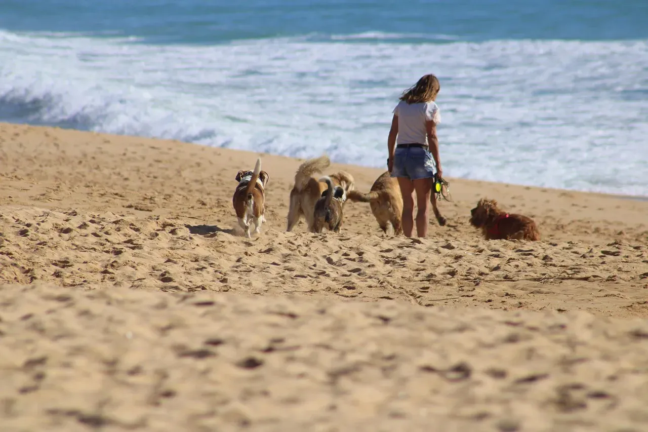 #14 - Whether You See a Dog as a Family Member or a Disposable Option (Image Credits: Pixabay)