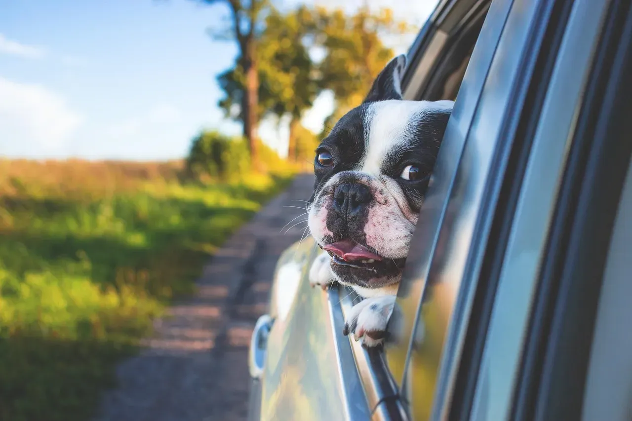 #7 - Whether the Trip Ended Well or Badly (Image Credits: Pixabay)